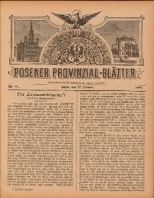 Posener Provinzial-Bl&auml;tter 1893.10.22 Nr43