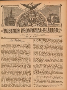 Posener Provinzial-Bl&auml;tter 1895.05.26 Nr21
