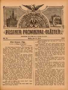 Posener Provinzial-Bl&auml;tter 1899.06.11 Nr24