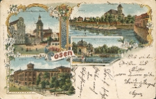 Gruss aus Posen. Königl.Regierung u.Pfarrkirche. Gasanstalt.Kreuzkirche. Zeughaus. Parthie aus dem Zoologischen Garten / Widok z ogrodu zoologicznego.