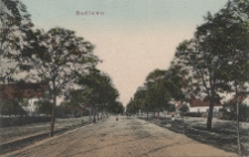 Będlewo. [Fragment wsi - ulica].