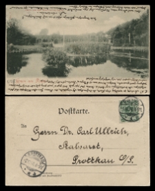 Gruss aus Posen. Parthie aus dem Zoologischen Garten.