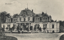 Błociszewo. [Pałac].