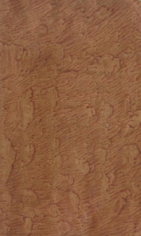 Cours d'études élémentaires. T.2 Leçons élémentaires de géographie