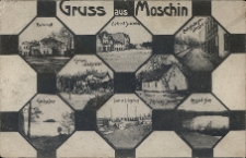 Gruss aus Moschin [plaster miodu:] Bahnhof. Markt mit Sanatorium. Ludwigsberger-Strasse. Kurhaus Ludwigshöhe. Fosrthaus Seeberg. Gorka See. Tonwerke Ludwigsberg. Kessel See.