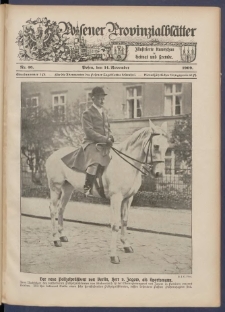 Posener Provinzial-Bl&auml;tter 1909.11.14 Nr46