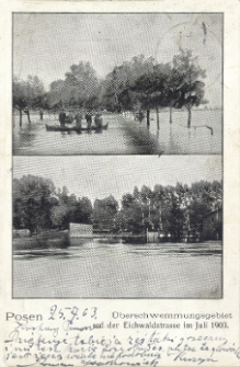 Posen. &Uuml;berschwemmungsgebiet auf der Eichwaldstrasse im Juli 1903.