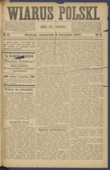 Wiarus Polski. 1900.11.08 R.10 Nr133