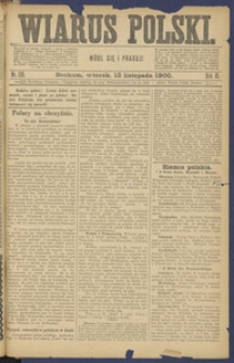 Wiarus Polski. 1900.11.13 R.10 Nr135
