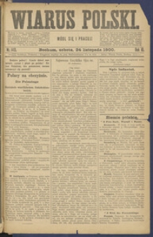 Wiarus Polski. 1900.11.24 R.10 Nr140 + dodatek