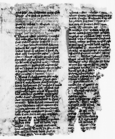 Brewiarz z II poł. XV w. - fragmenty