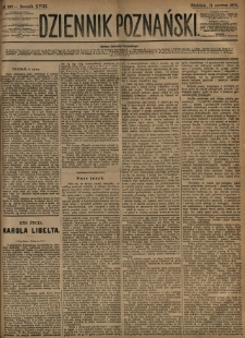Dziennik Poznański 1876.06.11 R.18 nr132