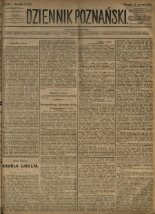 Dziennik Poznański 1876.06.13 R.18 nr133