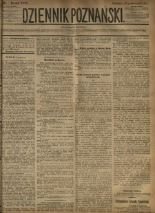 Dziennik Poznański 1876.10.29 R.18 nr248