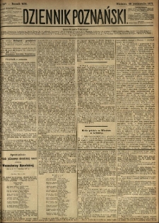 Dziennik Poznański 1877.10.28 R.19 nr247
